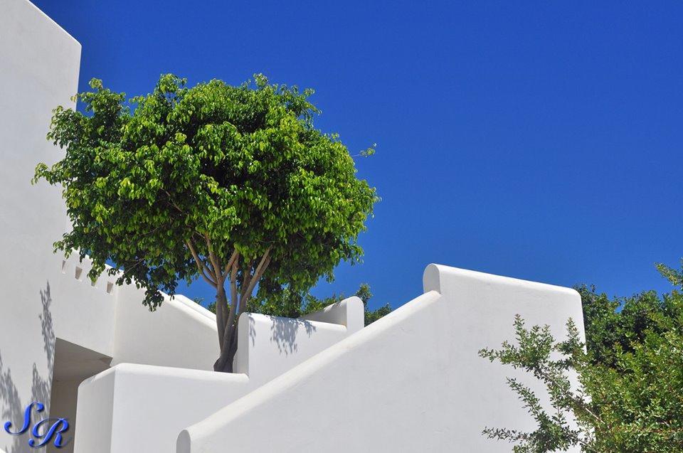 Sarakiniko Rooms Adamantas  Dış mekan fotoğraf